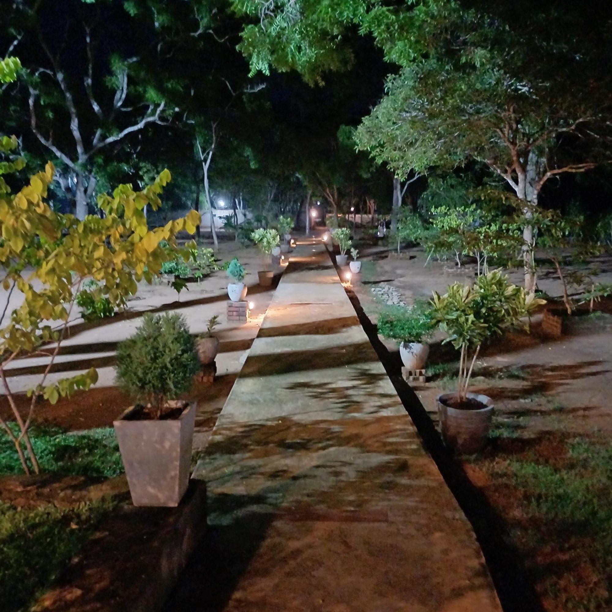 Forest Edge Villa Anuradhapura Εξωτερικό φωτογραφία