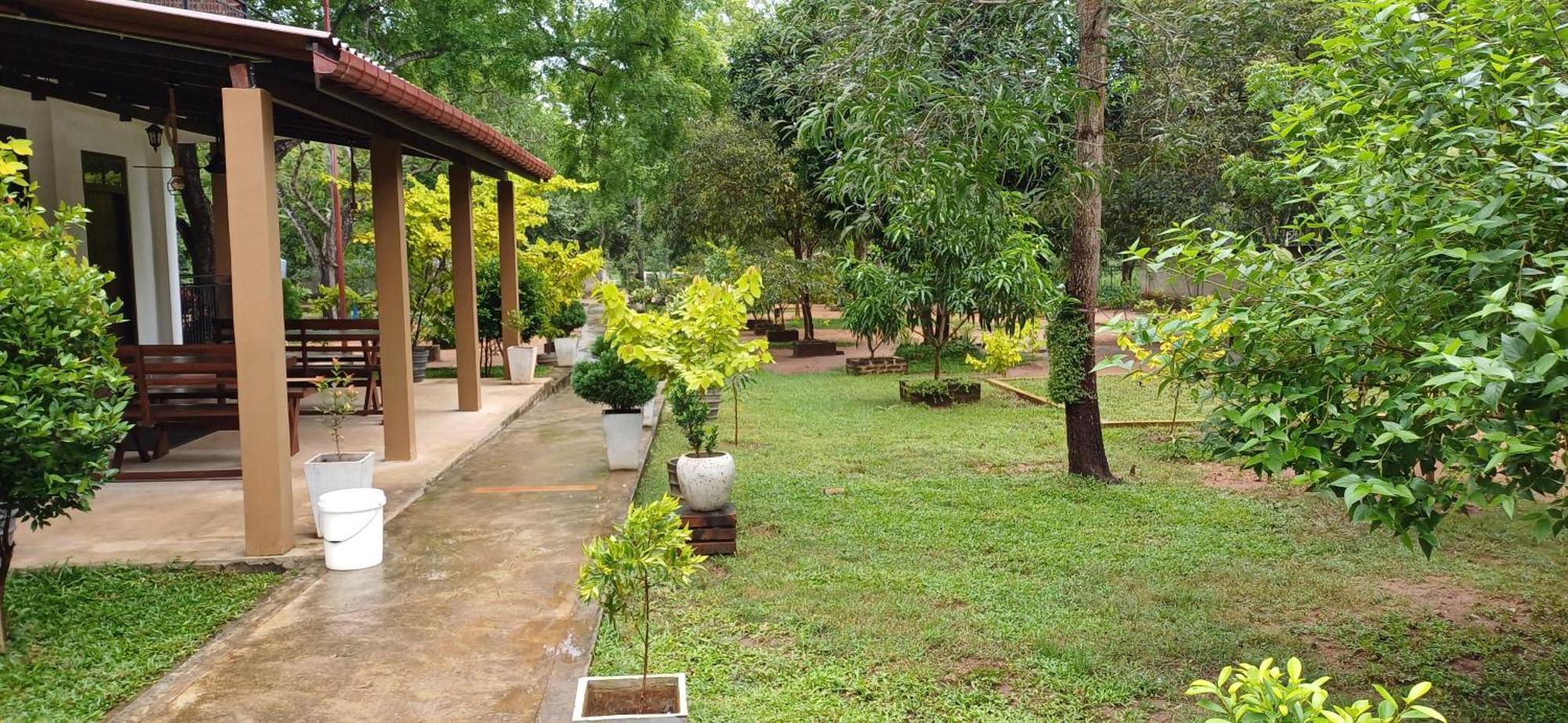 Forest Edge Villa Anuradhapura Εξωτερικό φωτογραφία